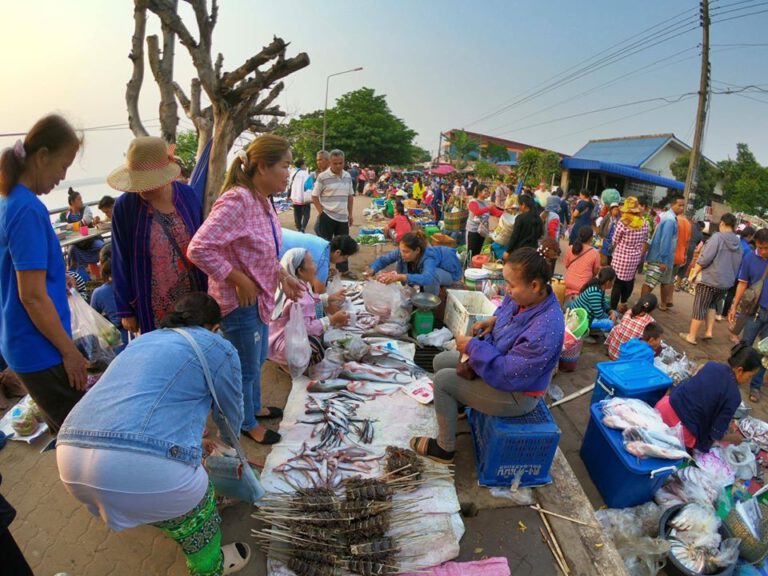 พาเลาะหาของป่า ณ ตลาดนัดไทย-ลาวธาตุพนม จ.นครพนม