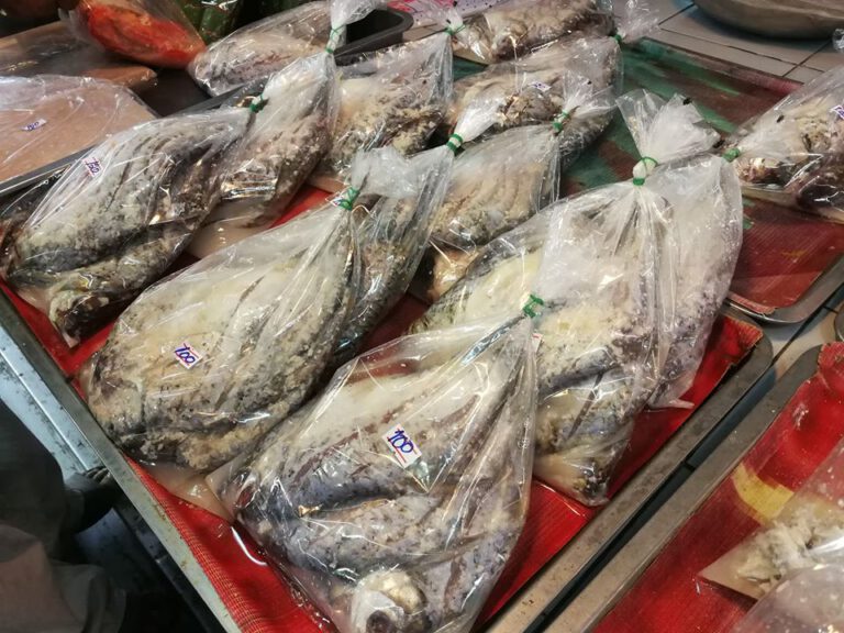 บุก ตลาดเทศบาลอำเภอศรีสงคราม จังหวัดนครพนม แหล่งปลาส้มแซบปลาแดกนัว