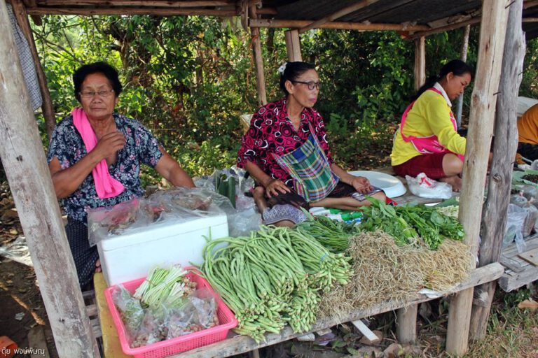 ตลาดแลงวันเสาร์บ้านโพนสนุก อ.นาแก