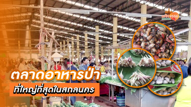 “ตลาดบายพาส” ศูนย์การค้าอาหารป่า ที่ใหญ่ที่สุดในสกลนคร