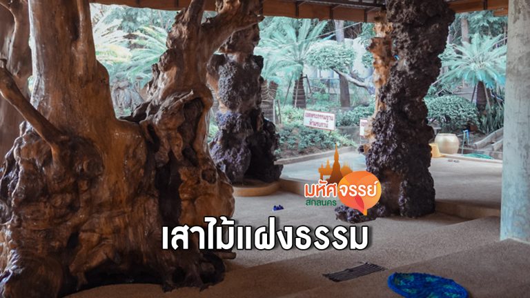 เสาไม้แฝงธรรม ทองคำเรียกพี่ วัดถ้ำผาแด่น สกลนคร