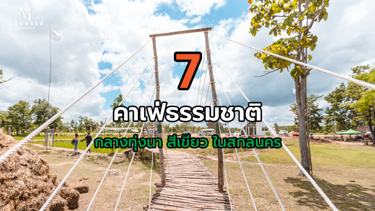 7 คาเฟ่ธรรมชาติ กลางทุ่งนา สีเขียว ในสกลนคร